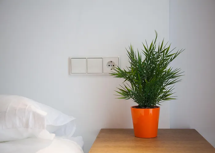 Sarriegi 招待所 圣塞瓦斯蒂安