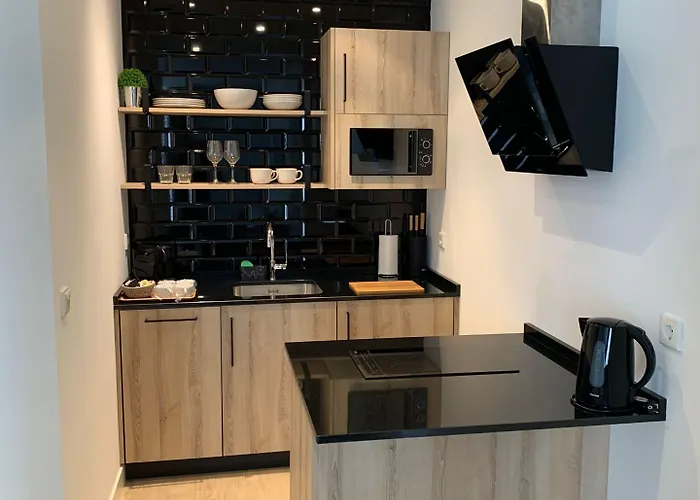 招待所 Sarriegi 圣塞瓦斯蒂安