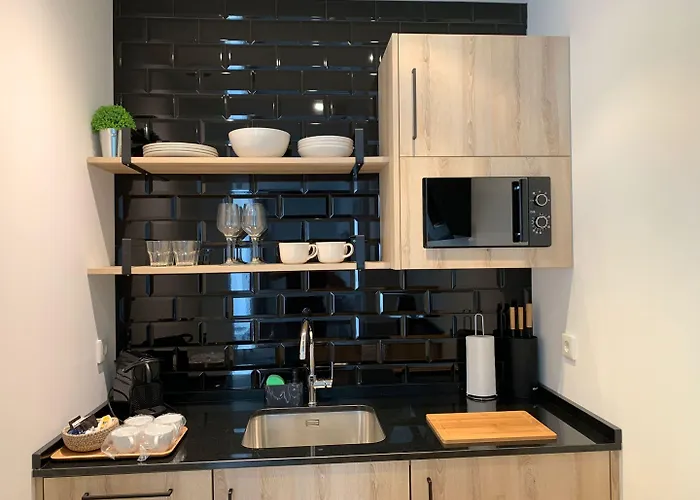 Sarriegi 招待所 2*